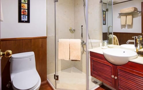 AmaWaterways, AmaDara, Suites Bathroom